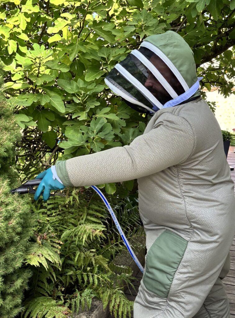 Intervention sur un nid de guêpes dans un jardin avec une poudreuse professionnelle